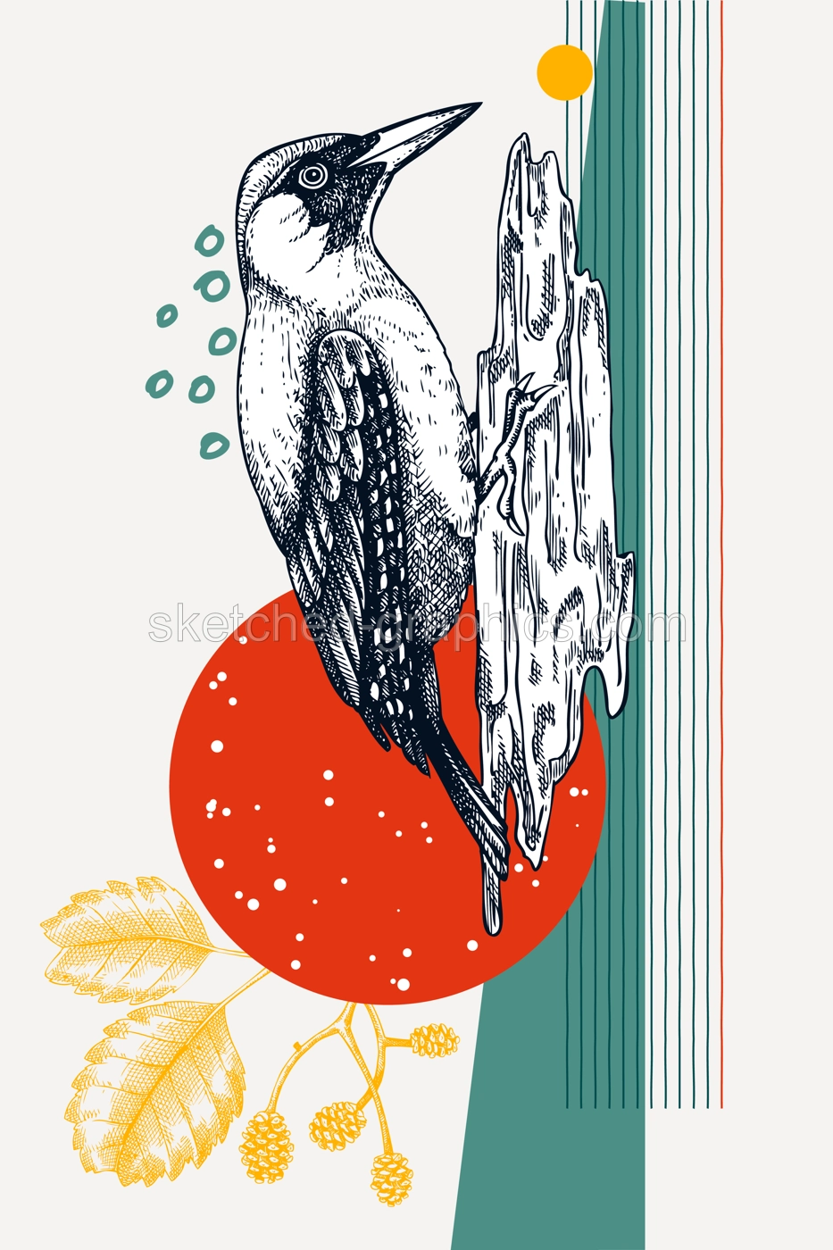 Hand drawn woodpecker vector illustration. Bird on tree sketch. Collage style poster design. NOT AI generated Illustration